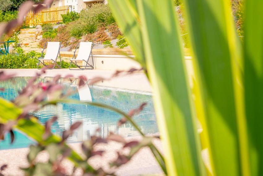 Le Bianchette Agriturismo E Fattoria Didattica 索马坎帕尼亚 外观 照片