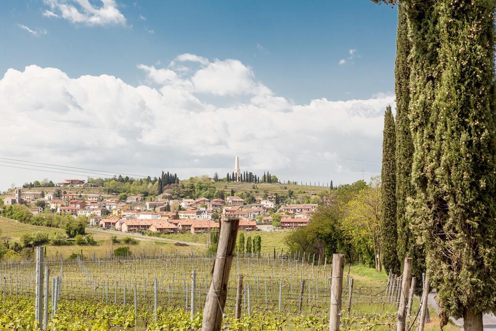 Le Bianchette Agriturismo E Fattoria Didattica 索马坎帕尼亚 外观 照片