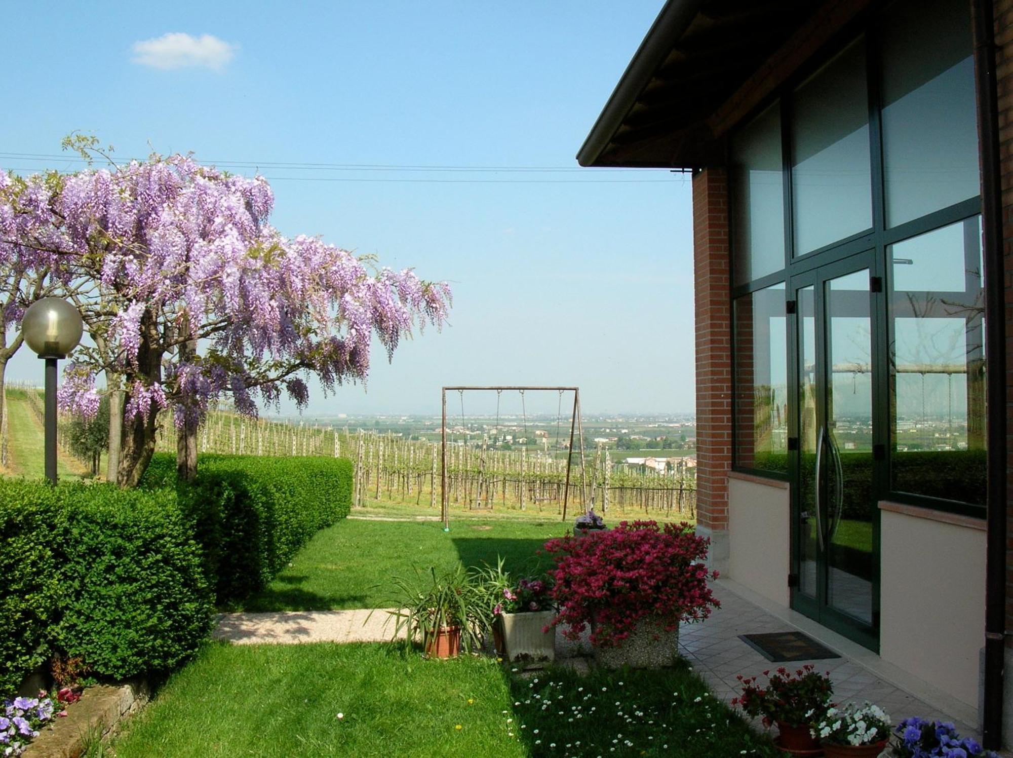 Le Bianchette Agriturismo E Fattoria Didattica 索马坎帕尼亚 外观 照片
