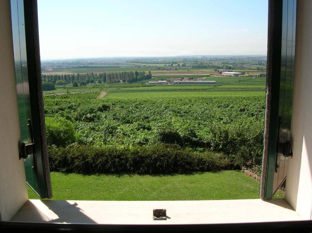 Le Bianchette Agriturismo E Fattoria Didattica 索马坎帕尼亚 外观 照片