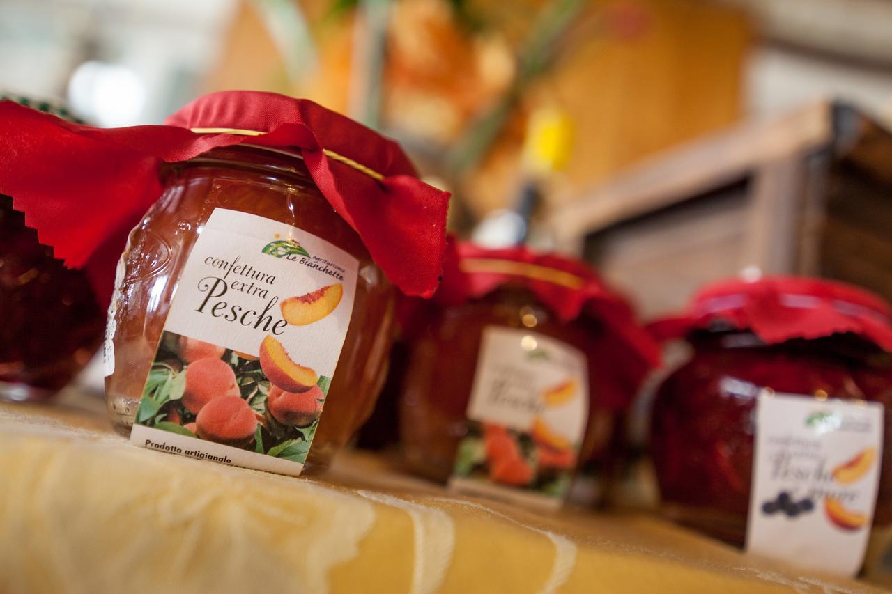 Le Bianchette Agriturismo E Fattoria Didattica 索马坎帕尼亚 外观 照片